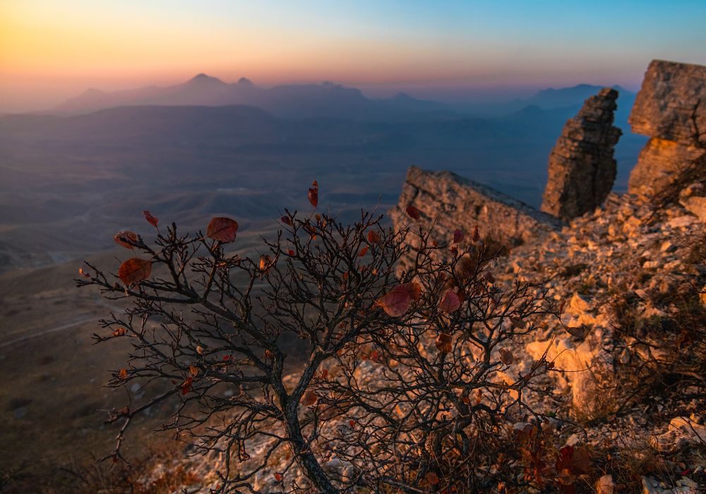 Photograph by Александр Шинкаревский