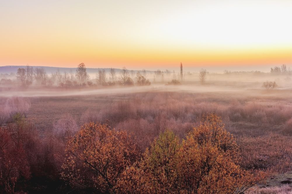 Утренний туман и краски осеннего утра..