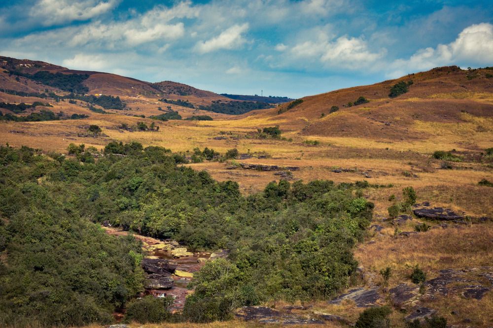 Photograph by Kamal Bhattacharjya