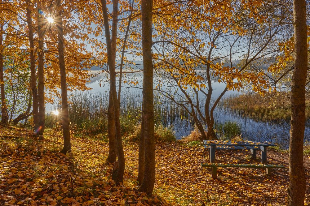 Photograph by Татьяна Полянская