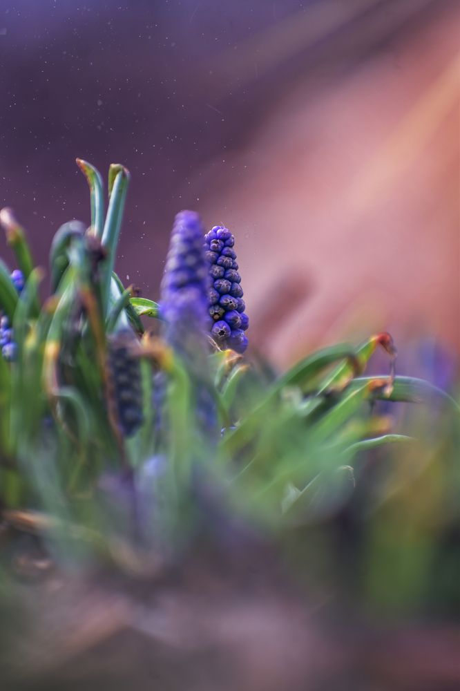 Фотография автора Andrea