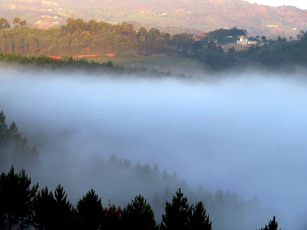 Fog in the valley