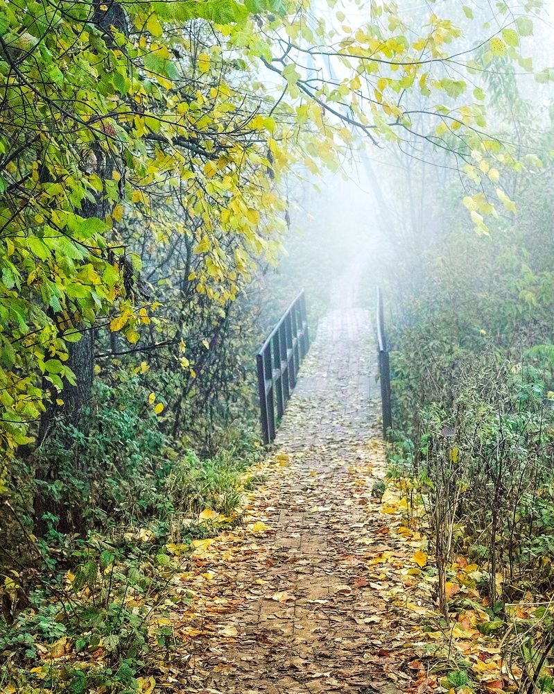 Photograph by Лариса Лофицкая