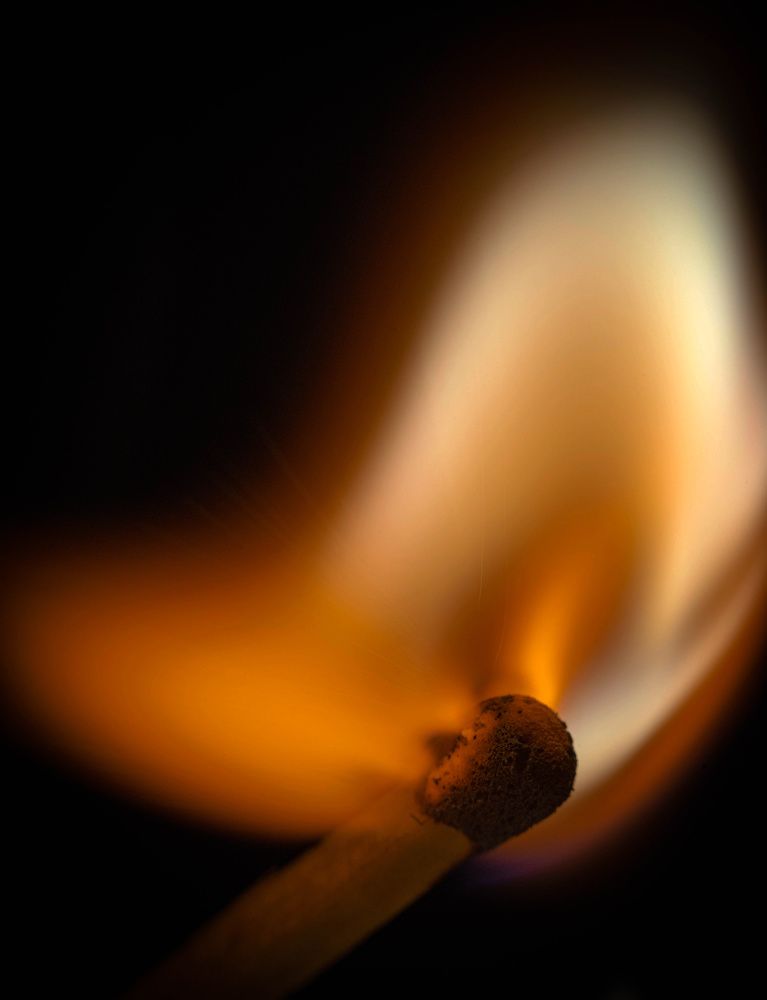 Photograph by 