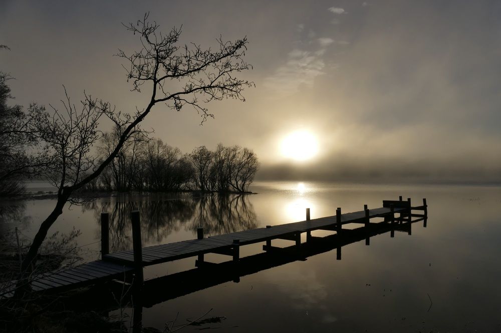 Morning by the lake
