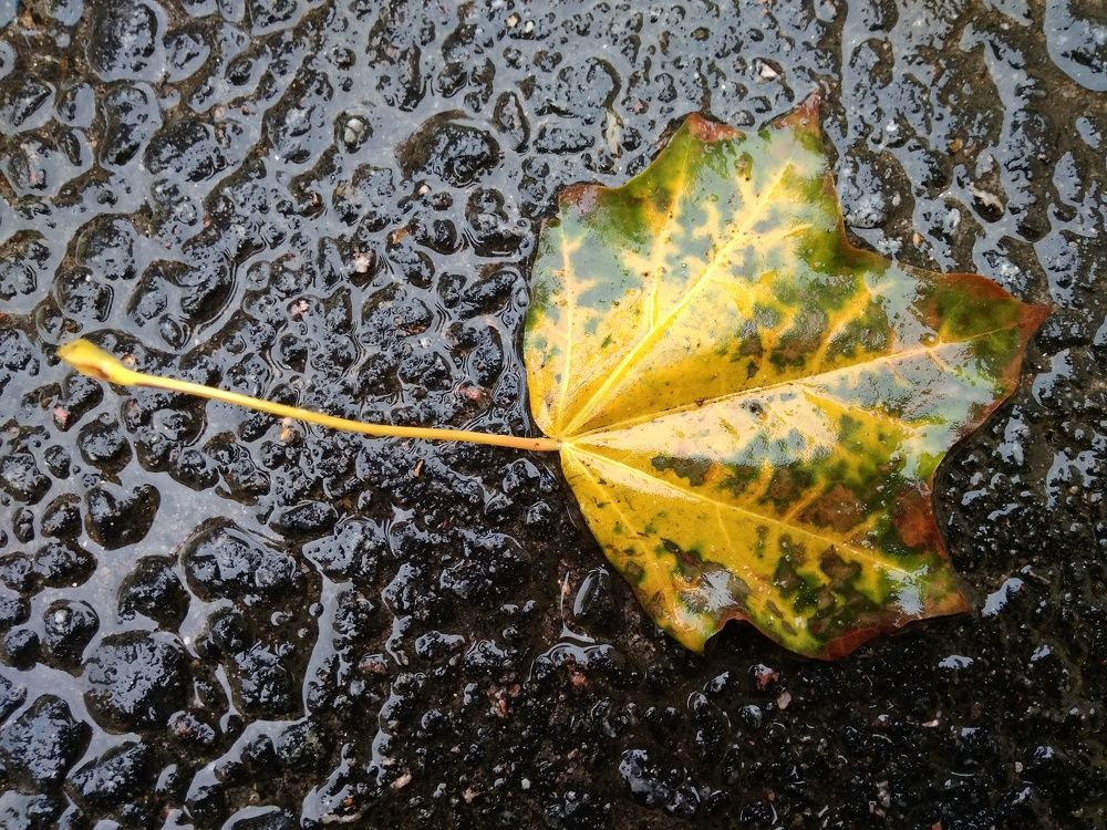 Photograph by Юлия