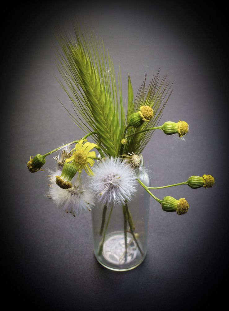 Фотография автора Сергей Денисенко