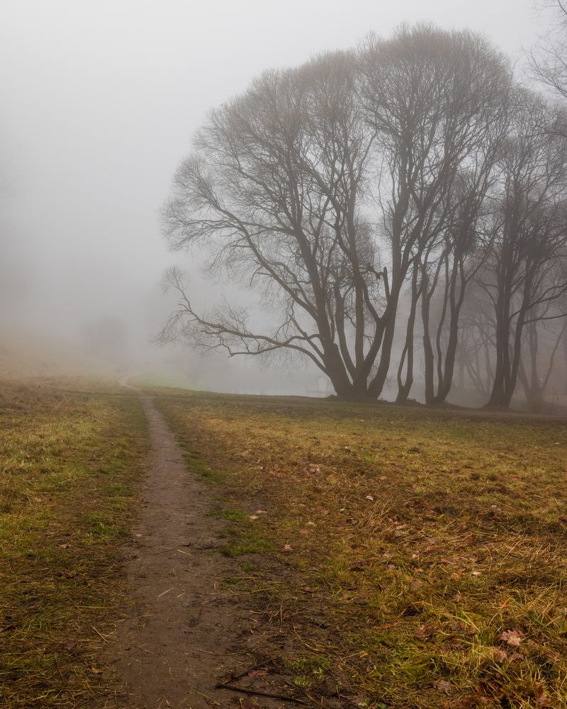 Photograph by Александр Кузнецов