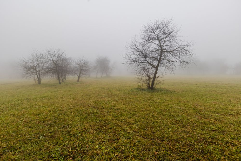 Photograph by Александр Кузнецов