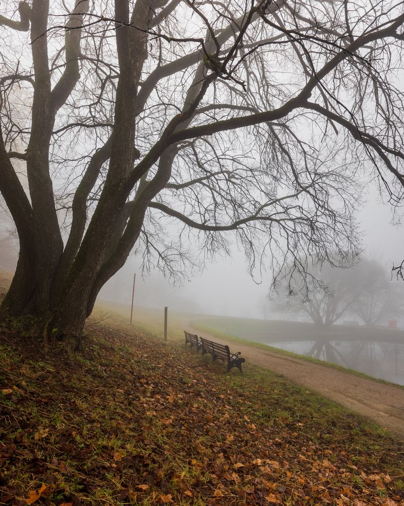 Photograph by Александр Кузнецов