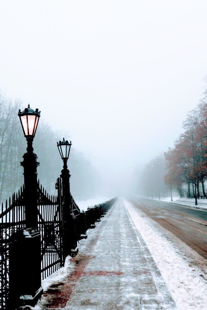 Photograph by Светлана Попова