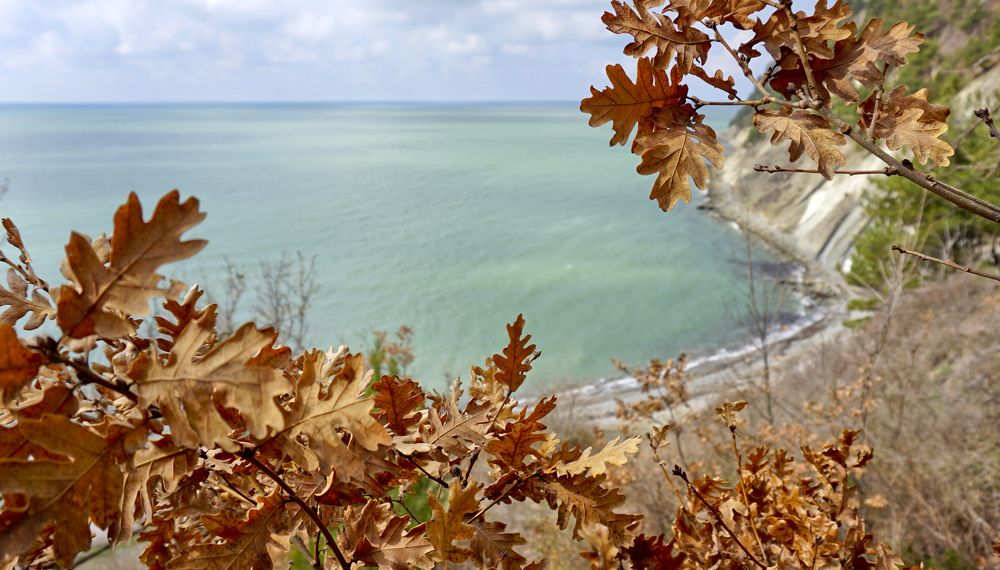 Фотография автора Эрнст Антонов