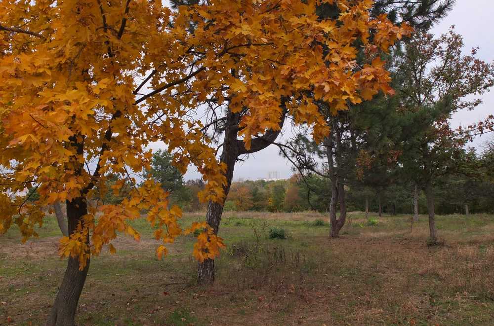 Photograph by Анна Матецкая