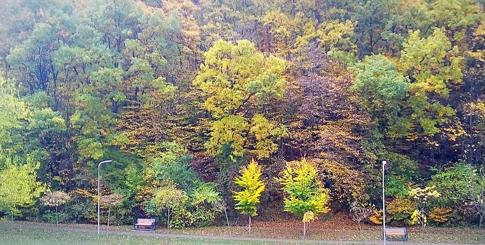 Photograph by Luan Kantarxhiu