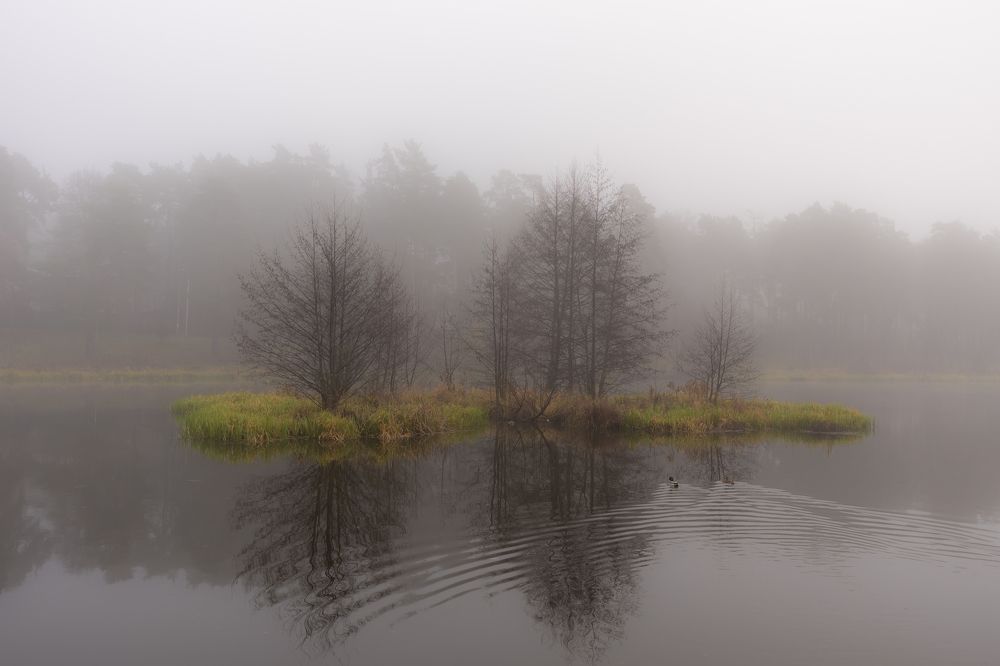 Photograph by Алексей Новиков