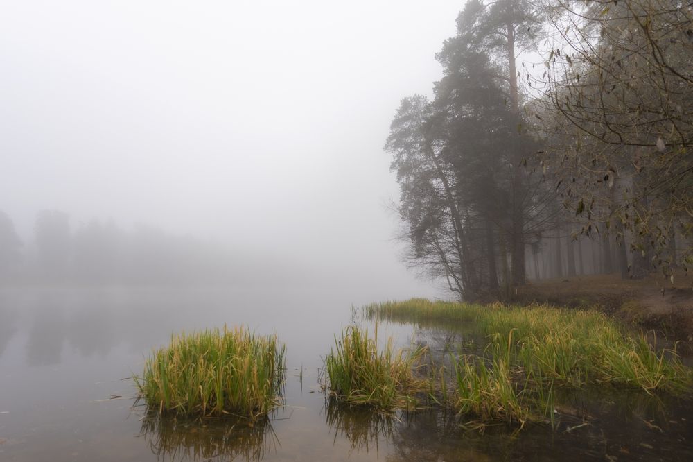 Photograph by Алексей Новиков