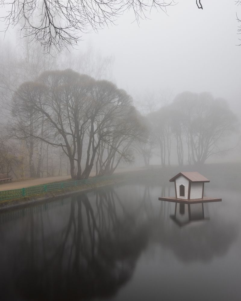 Photograph by Александр Кузнецов