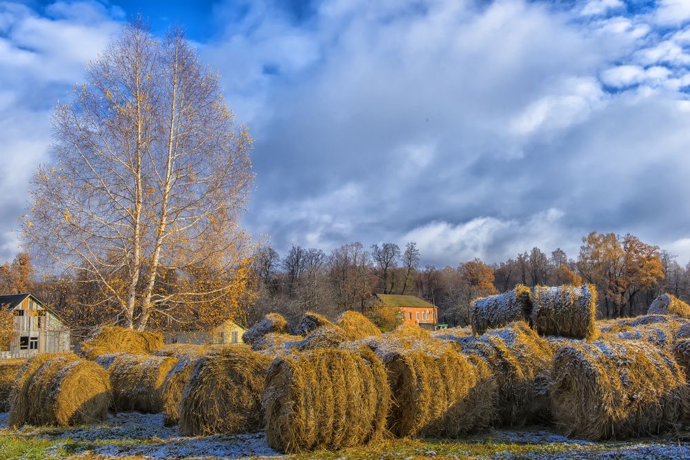 Photograph by Анна Кривицкая