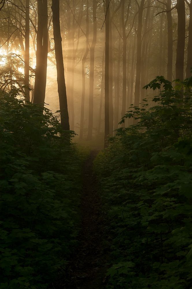 Photograph by Виталий Стрельцов