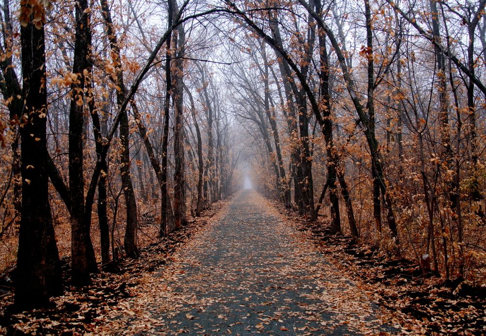 Photograph by Жанна Валиева