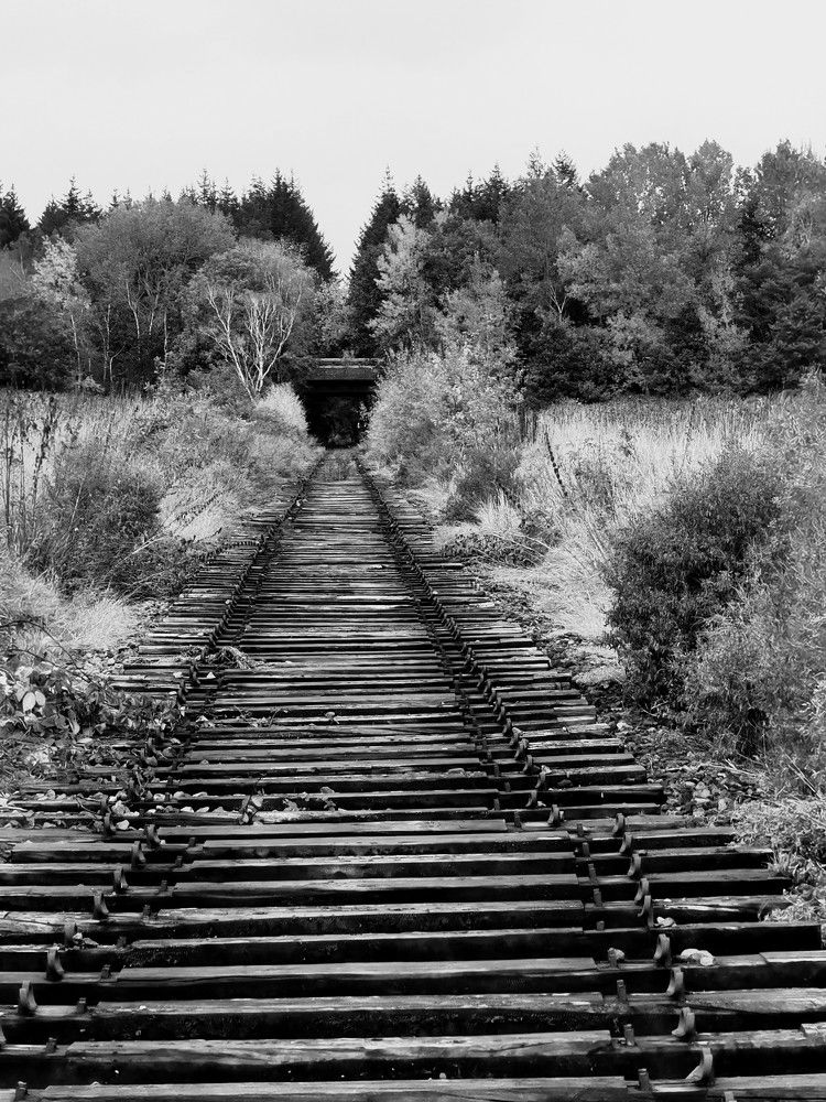 Photograph by Михаил Жарский