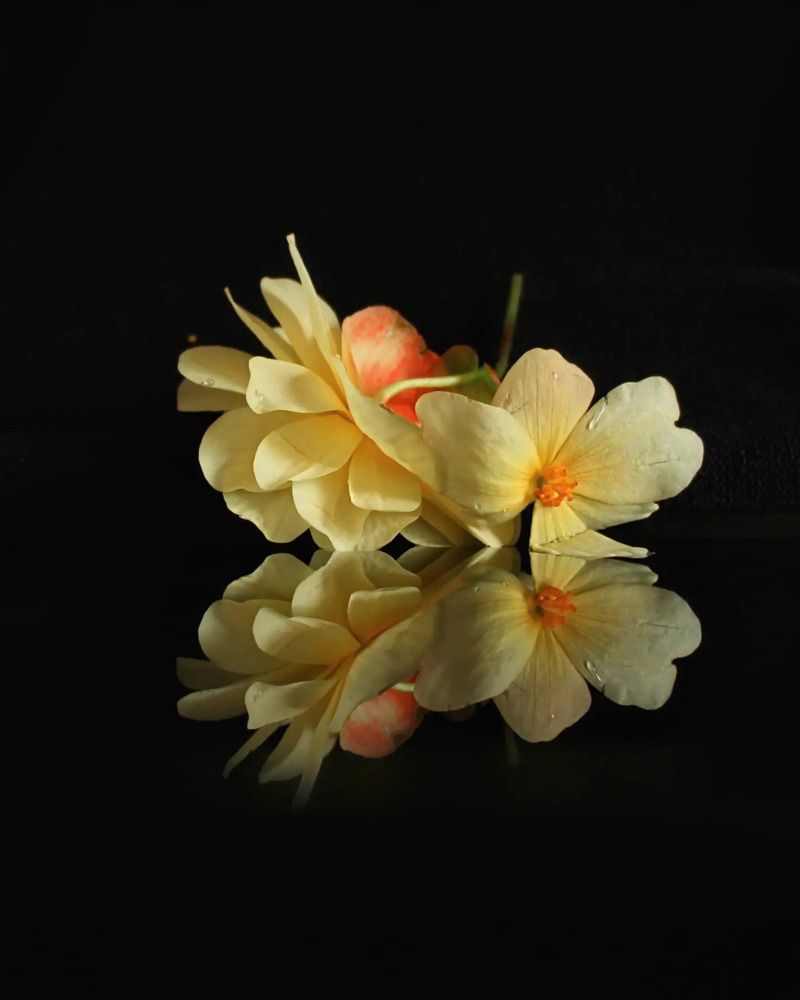 Фотография автора Raisa Sel