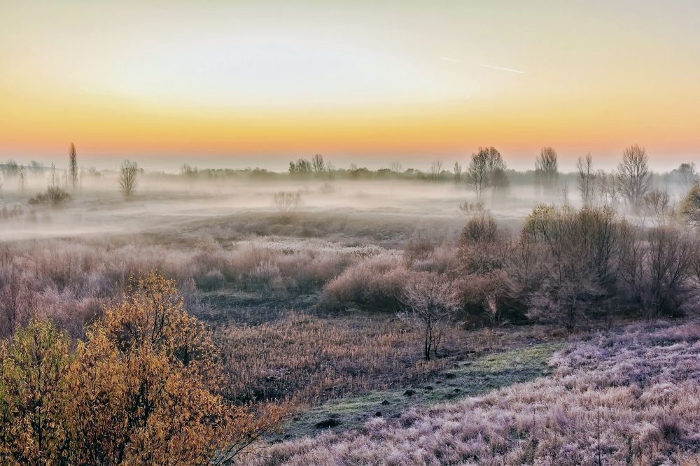 Утром туманным