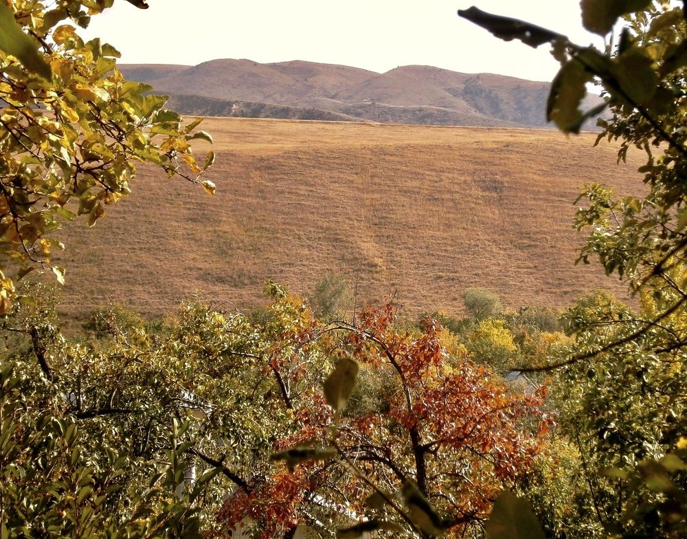 Photograph by Елена Ким