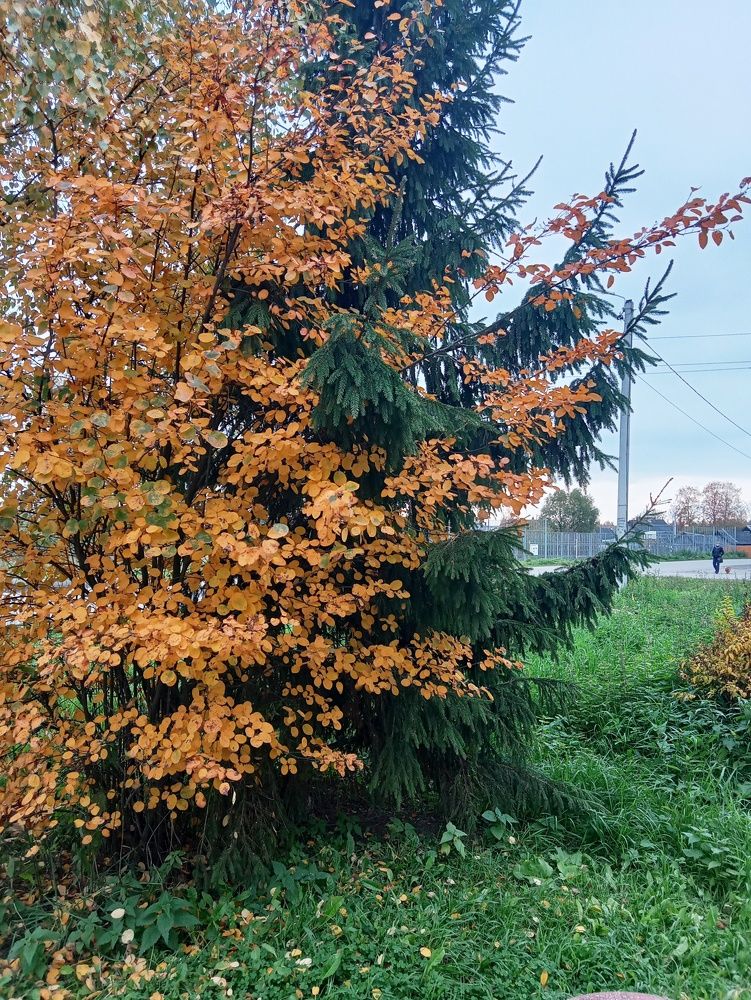 Photograph by Валентина Смирнова