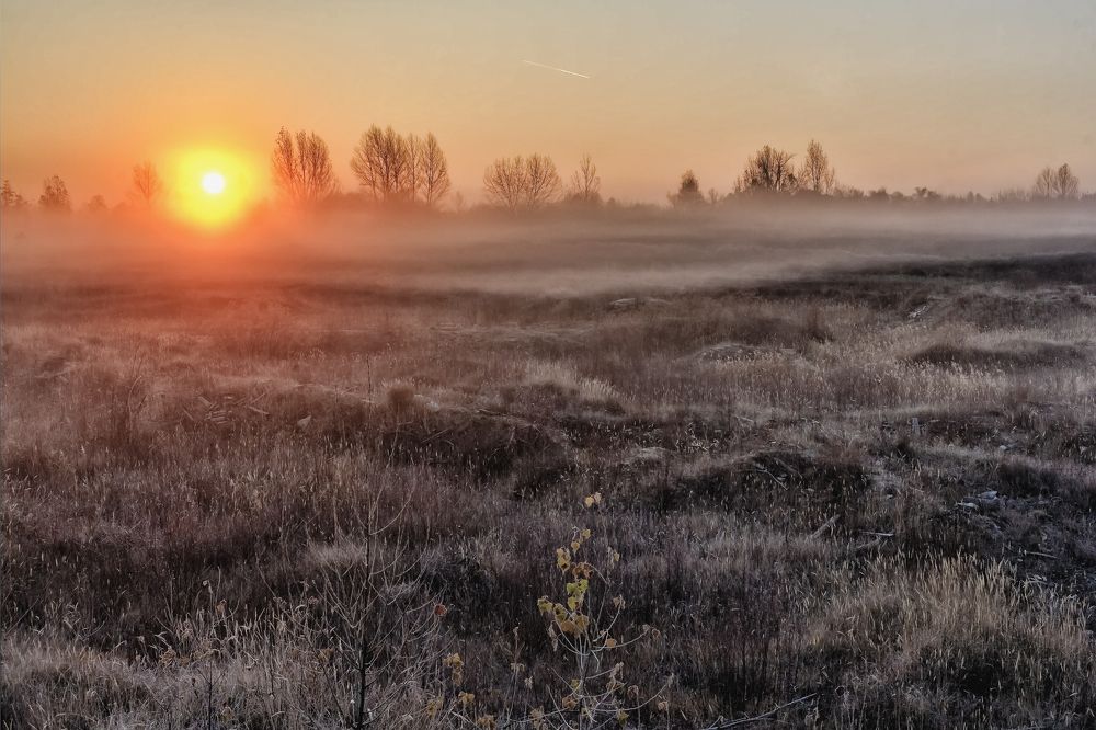 Когда пришел рассвет....