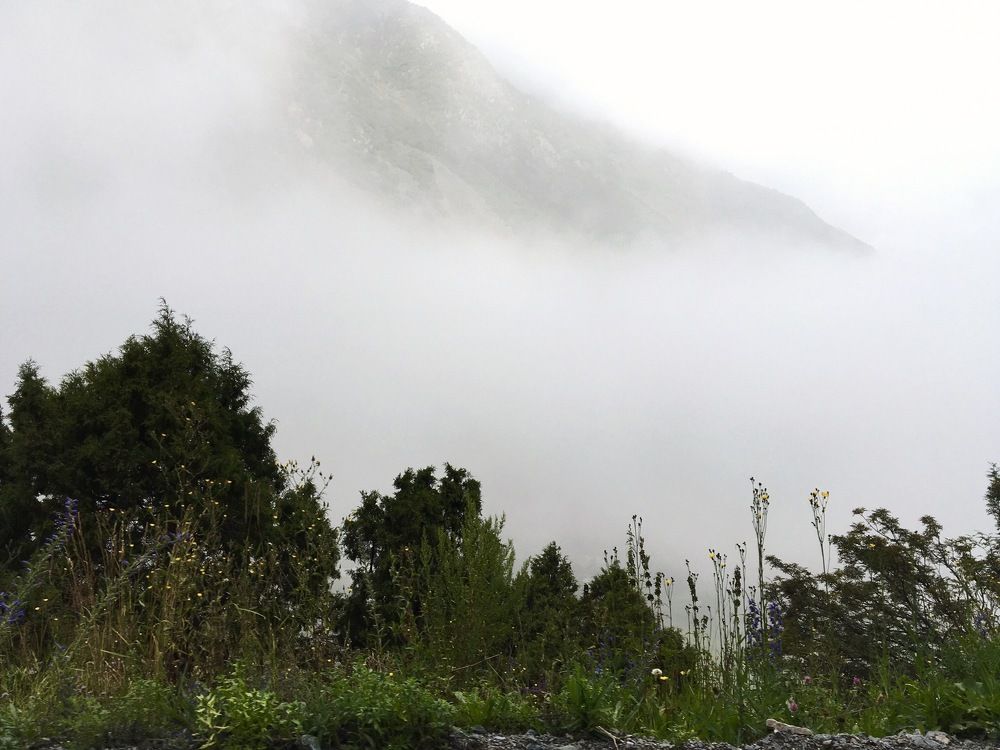 Photograph by Елена Ким