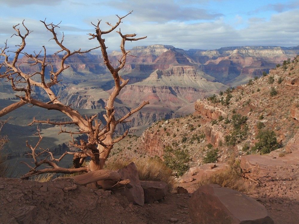 Фотография автора Елена