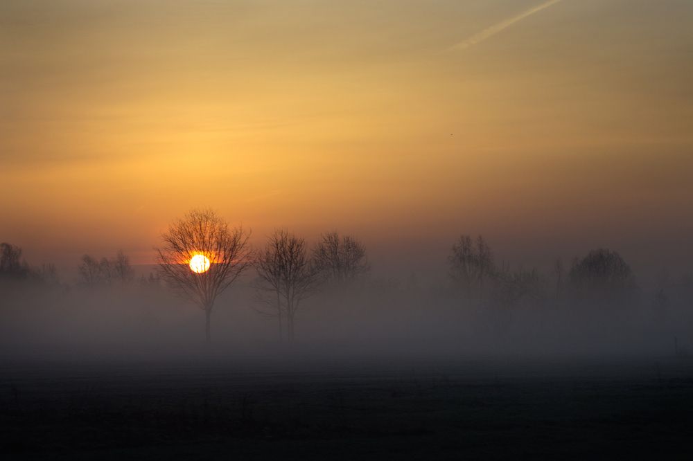 Photograph by Anna Suchcicka