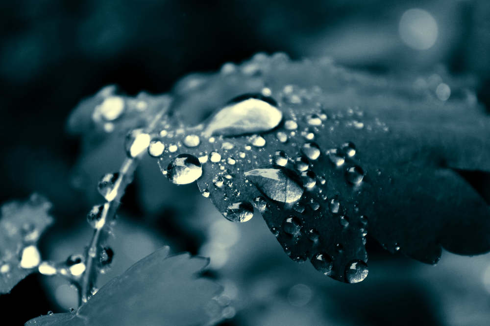 Photograph by Ольга Антанавичене