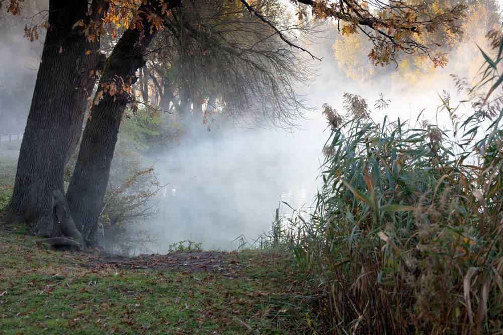 Утро туманное