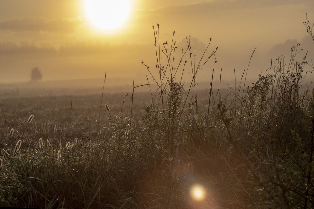 Photograph by Anna Suchcicka