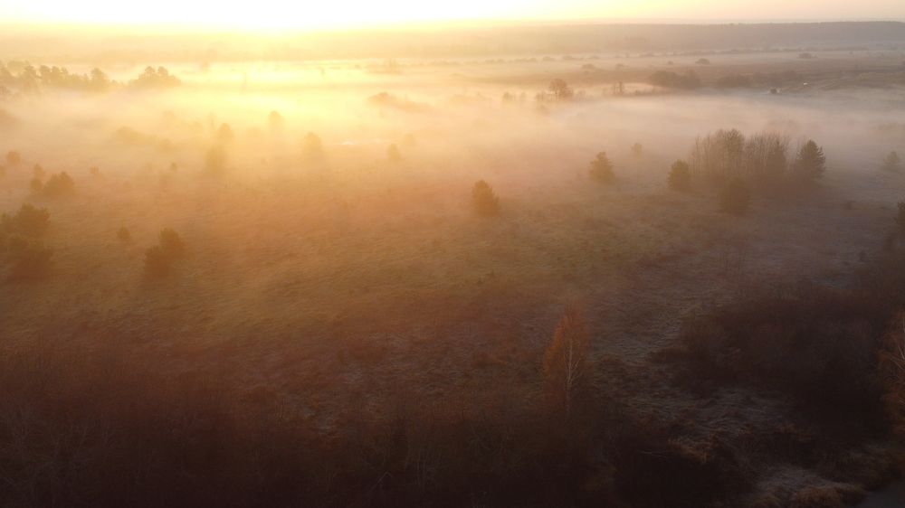 Photograph by Семен Батов