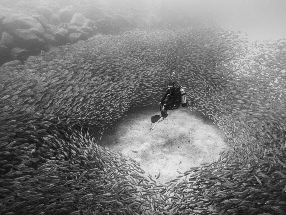 Фотография автора Francisco Sedano