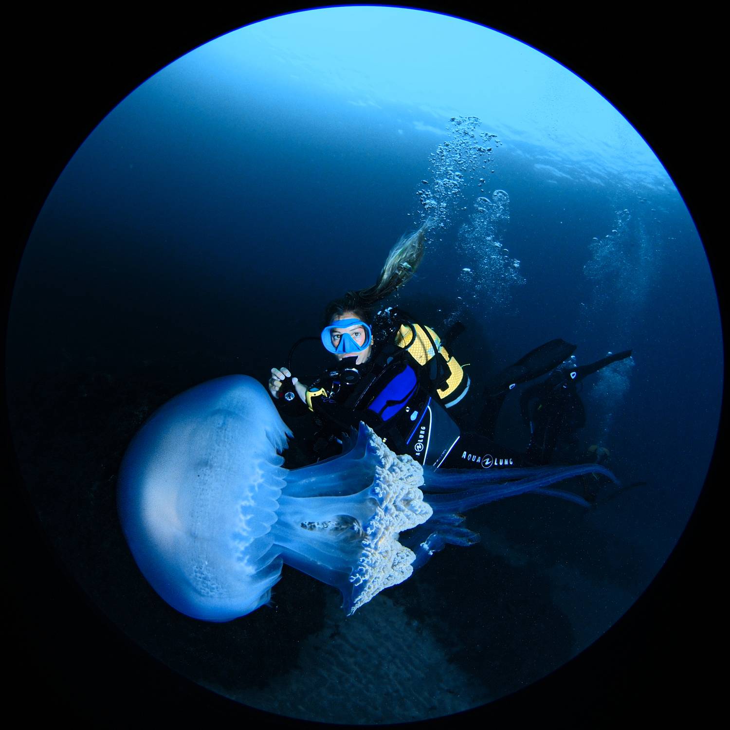 Фотография #6677544