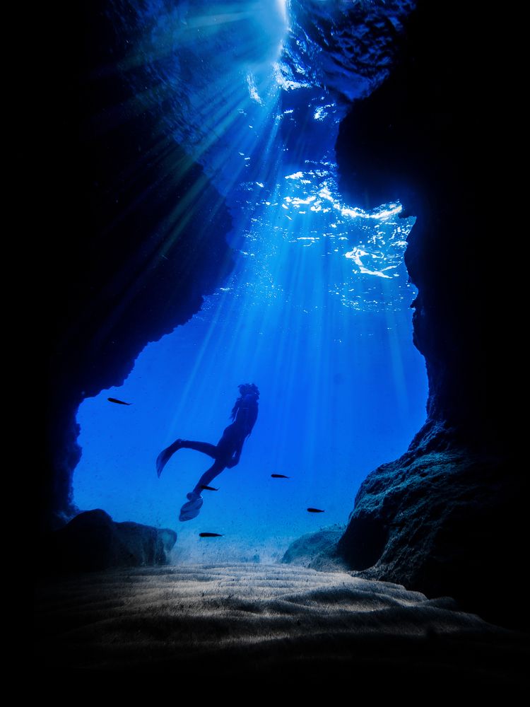 Фотография автора Francisco Sedano