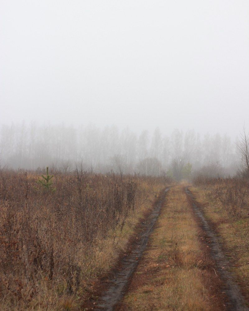 Photograph by Елена Федосеева