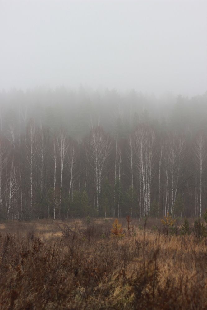 Photograph by Елена Федосеева