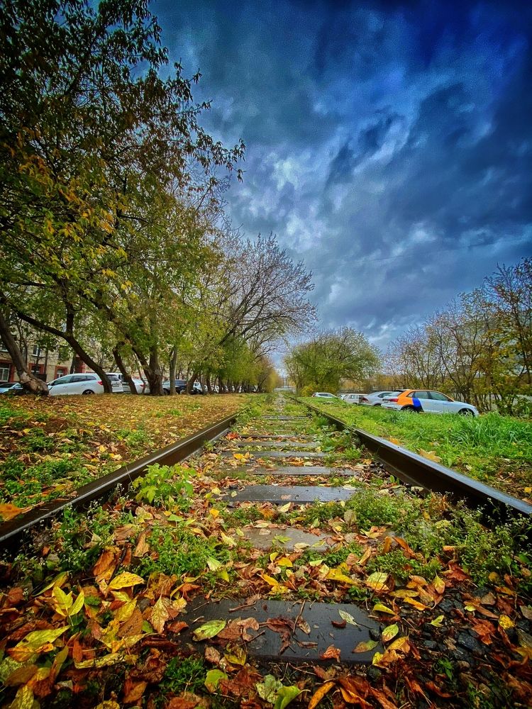 Photograph by Александр Кудрявцев