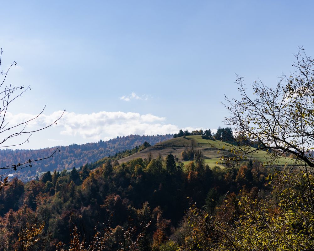 Photograph by Alena Solomonova