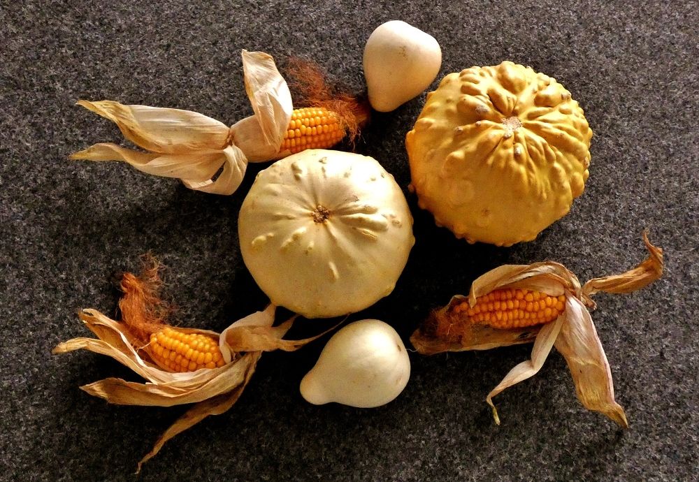 Photograph by backareva irina