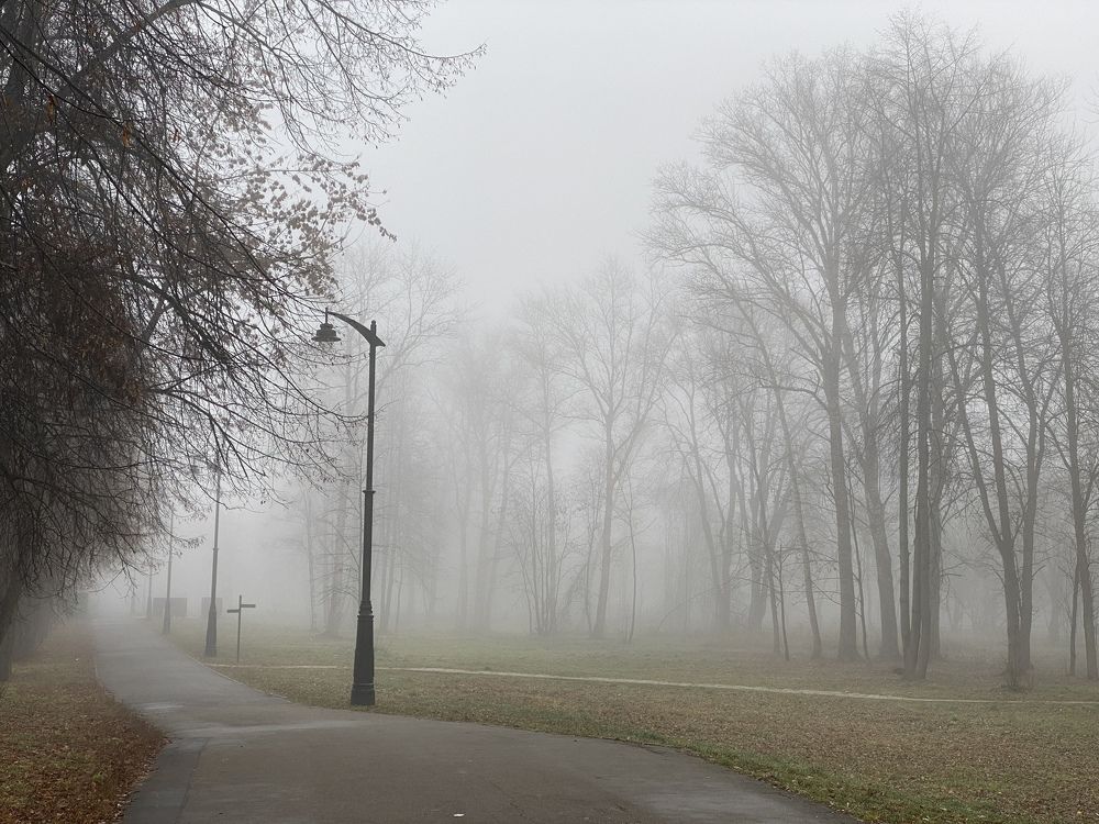 Фотография автора Ольга Горюнова