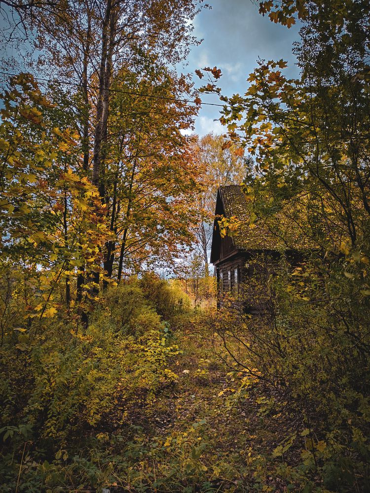 Photograph by Алёна Шматова