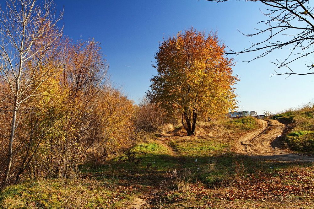 Фотография автора Александр Челмодеев