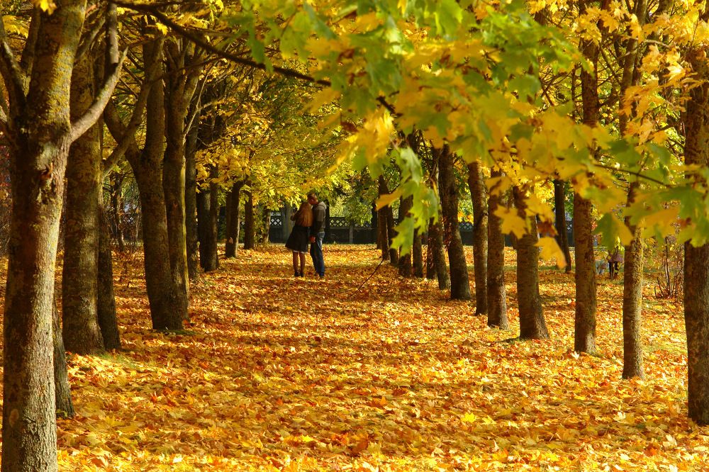 Photograph by Сергей Тарасюк