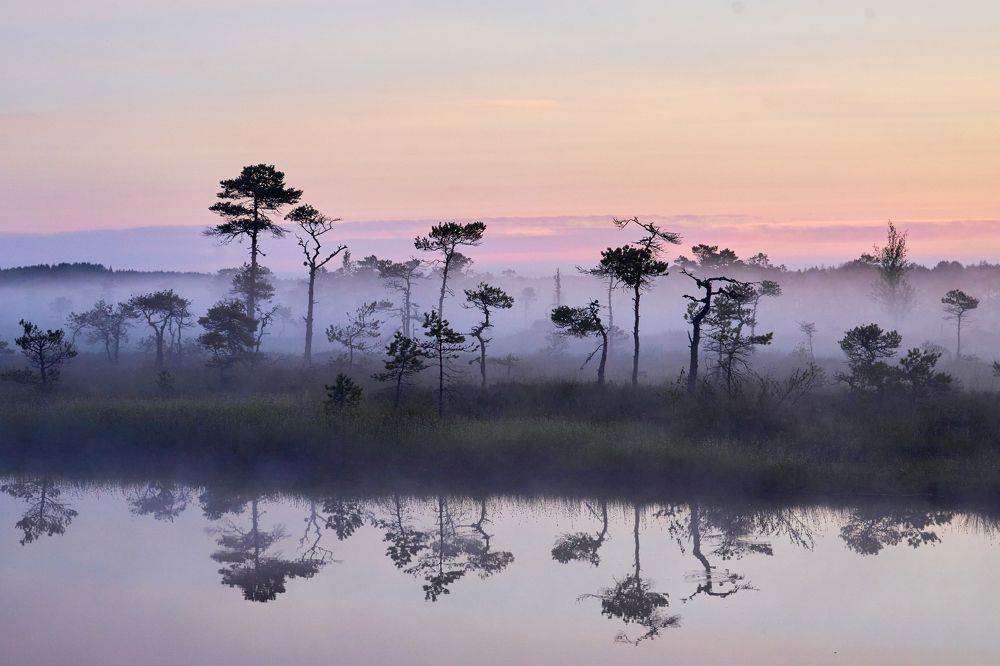 Photograph by Alla Matrosova